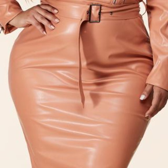 BLUSH LEATHER DRESS - Picture 3 of 3